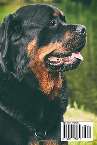 I Love My Rottweiler: A 6x9 Lined Notebook, Journal Gift for Rottweiler Lovers and Dog Lovers, White - Image 2