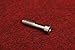 MiLin RUNVAC Kidd Takedown Screw for a 10/22 or Ruger 10/22- Silver