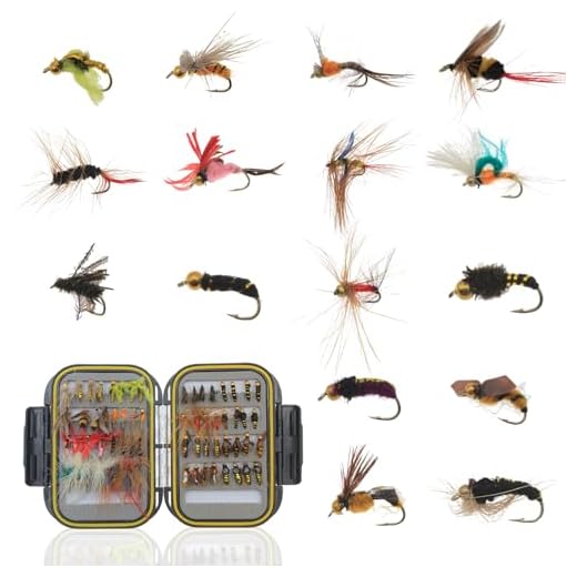 Lilureena 64Pcs Fly Fishing Flies Kit with Tackle Box, Dry/Wet Flies Handmade Fly Fishing Lures Flies, Streamer, Nymph, Emerger with Waterproof Fly Box for Trout Bass Salmon