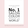 COLORCHARM Powder Hair Lightener | Up to 7 Levels of Lift | Dust Free | Packaging May Vary