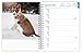 I Love Puppies | 2026 6 x 7.75 Inch Spiral-Bound Wire-O Weekly Engagement Planner Calendar | New Full-Color Image Every Week | BrownTrout | Animals Dog Breeds Puppy