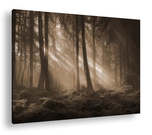 Toile forêt sépia de qualité supérieure avec authentique châssis en bois