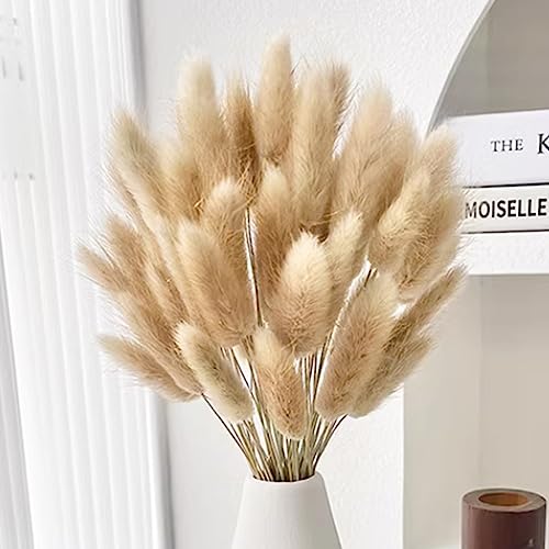 60PCS Rabbit Tail Grass Dried Flowers Dried Natural Floral Arrangement Bunch Decoration Dried Grass,Eternal Flower Dried Grass for Home,Wedding,Party,Flower Bouquet,Photo Props Decor (Natural Color)