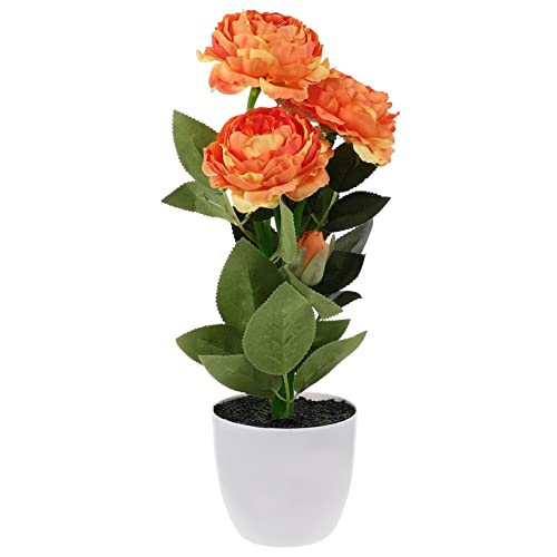 Alipis ͑OA tFCNϗtA CeA ƒp e[ufR[V ItBXɂ