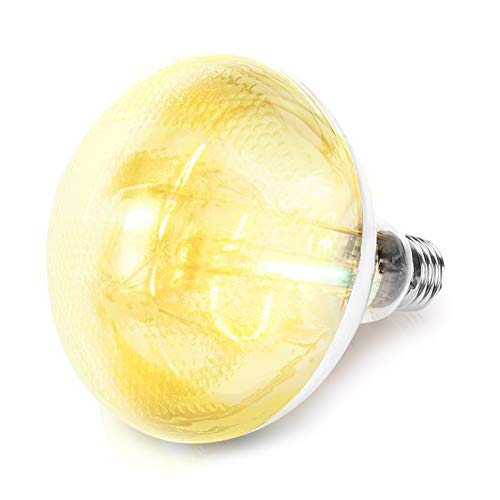 10 Best Heat Lamp For Pigs [Buying Guide 2023] • Sacred Car