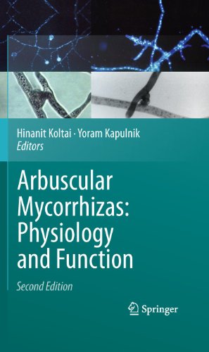 Arbuscular Mycorrhizas: Physiology And Function,2/E view 2