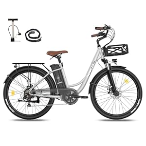 Fafrees F26 Lasting e-bike voor heren, 26 inch, 36 V, 20,3 Ah accu, 250 W, 25 km/u, stadse-bike dames, bereik 80-200 km, fiets Pedelec 7S, belasting 120 kg