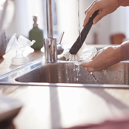 Extrator Elétrico Eureka Duplo