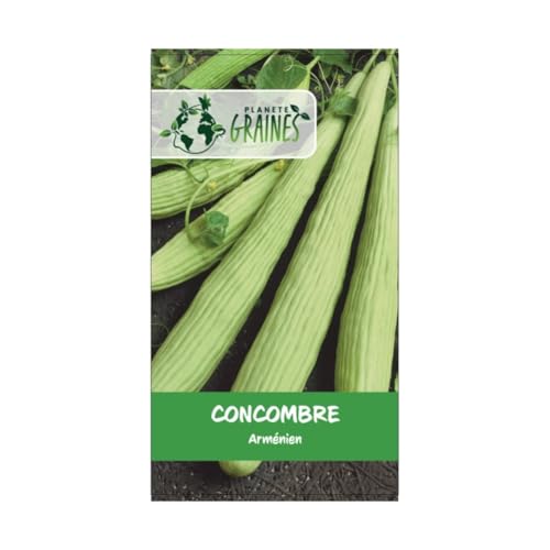 30 graines concombre melon armenien serpent - yard long -seeds- cucumber