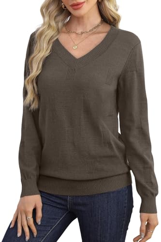 WIHOLL Sweaters for Women V Neck Long Sleeve Tops Fashion Lightweight Pullover Clothes Fall Outfits 2025