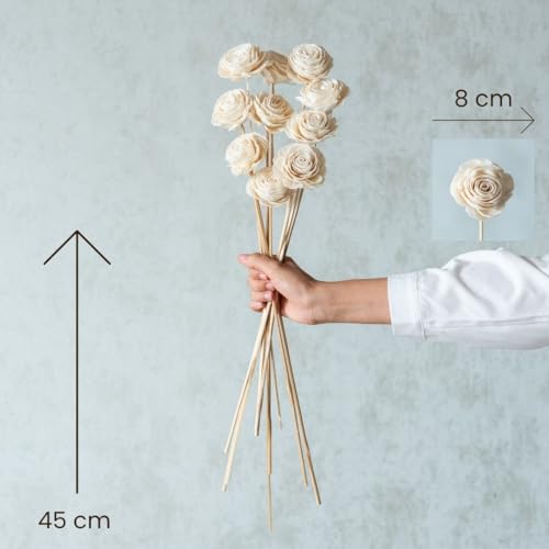 Image of White Sola Beauty Rose 8 cm On Stem (10 Sticks) | Natural Dried Flower |Eco-Friendly Flowers for Home, Office, Bedroom, Table Decoration and Craft Items Corner (Without Vase Pot)