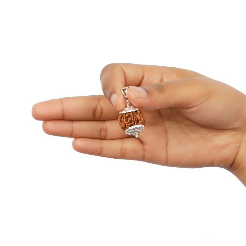 Image of GEMSMANTRA 7 Mukhi Rudraksha With Pendant in 92.5 Sterling Silver Original Nepali, Medium size, Natural and Lab Certified, Helps to Improve Wealth, Prosperity, and Success, Helps Protect from Negative Energies (Brown, Unisex)