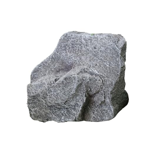 Pierre décorative polyvalente pour pelouse et terrasses chaleureuses