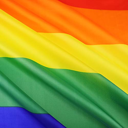Flagburg Rainbow Flag 5X8Ft, Lgbt Flags - Durable Polyester Gay Pride Lesbian Flag Banner, Vivid Color, Double Stitched And Fade Resistant With Canvas Header & Brass Grommets For Outdoor Parade #TOP5