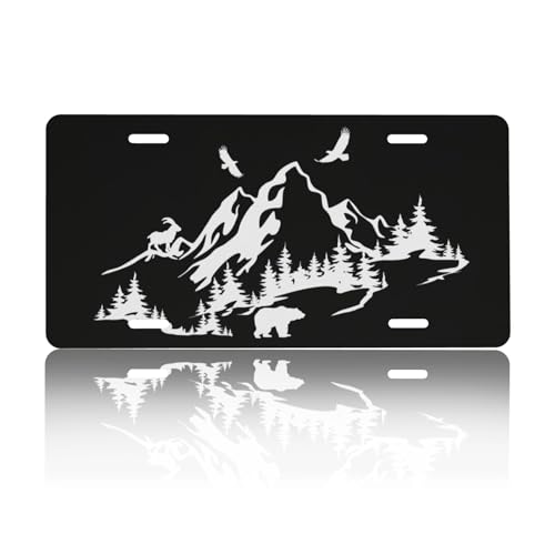 Placa de matrícula frontal para personalizar tu coche con un toque metálico elegante