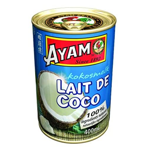 Ayam Leche de coco – Lata de 400 ml