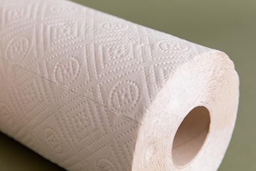 HeyBamboo Natural Brown Bamboo Paper Towels – 6 Rolls, 2-Ply, 150 Sheets Each – Strong & Absorbent, Tree-Free, Plastic-Free, Non-Toxic, FSC Certified, Sustainably Sourced