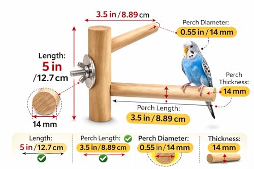 Image of KSK Natural Wooden Bird Perch for Cage - Wall Mounted Parrot Stand with Stainless Steel Bolt - Comfortable Foot Rest for Budgies, Lovebirds, Cockatiels & Small Birds