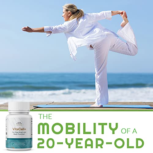 Vitacell+ Longvida Optimized Liposomal Curcumin Capsules - Clinically Tested Ingredients For Improved Joint Support, Higher Energy & Brain Fog Relief – Quercetin, Resveratrol, Boswellia Serrata & More #TOP2