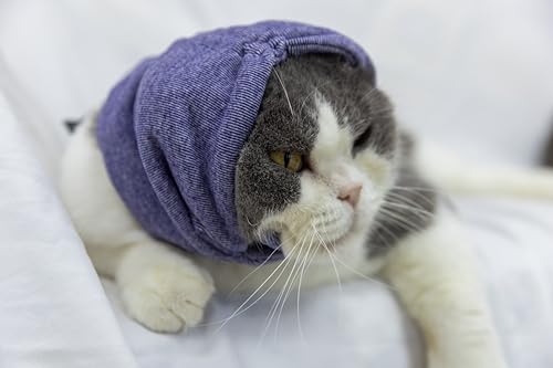 Image of Cat Hematoma Ear Wrap,Noise Cancelling Calming Anxiety & Stress Relief - Ear Cover for cat Purple S