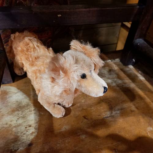 Amazon.co.jp: ドイツ ヴィンテージ くるくる巻き毛のダックスフンド