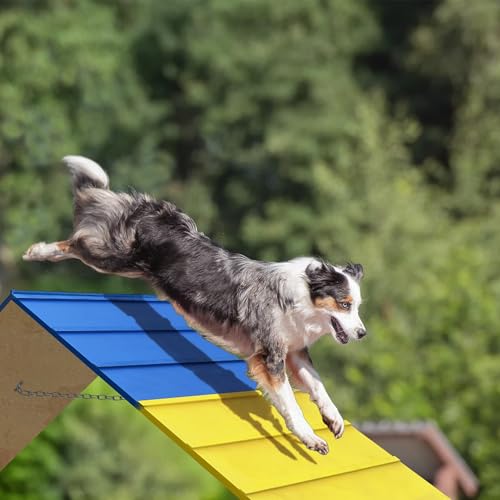 koretech Dogs Agility Course Backyard Set, Dog Agility Equipment, Non-Slip Dog Agility A-Frame, 84” x 24” Large Size - Thumbnail 2