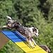 koretech Dogs Agility Course Backyard Set, Dog Agility Equipment, Non-Slip Dog Agility A-Frame, 84” x 24” Large Size