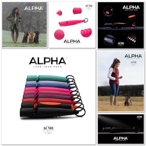 Acme Hundepfeife No. 211,5 (Update 2023) | Alpha | Verbesserte Version | Ideal für den Rückruf | Große Reichweite | Neuer Griff | Frequenzstandardisiert (Black/dg orange)