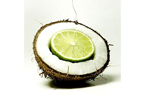 Coconut Lime Verbena Fragrance Oil 16 oz Bottle Premium Grade for Candle and Soap Making by Midway Mercantile