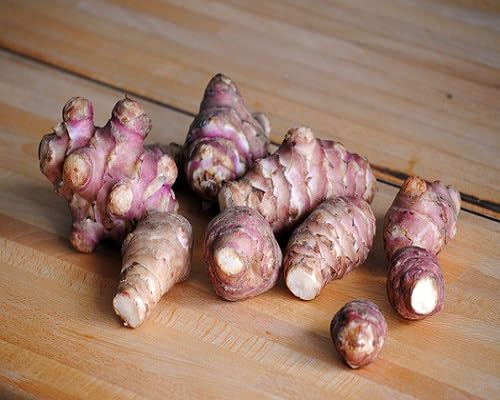 View 3