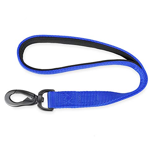 Durable And Comfy 18'' Nylon Short Leash With Super Soft Neoprene Lined Handle For Large Medium Boy And Girl Dogs - Daily Use Walking And Professional Training. (Bright Blue) #TOP6