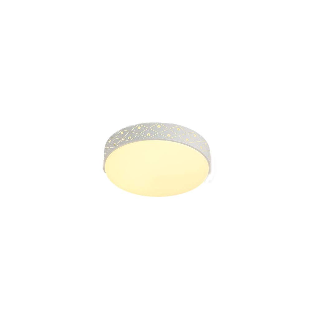 HynJGih Led Ceiling Lamp Round Bedroom Lamp Simple Modern Living Room Lighting Home Creative Balcony Restaurant Lighting(D,Stepless dimming)