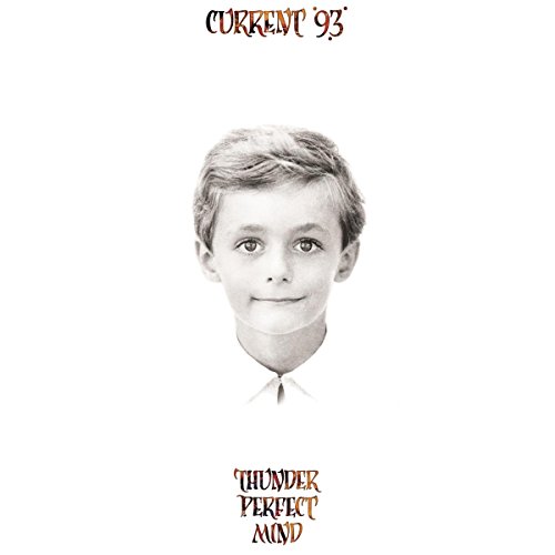 Thunder Perfect Mind [Vinilo]