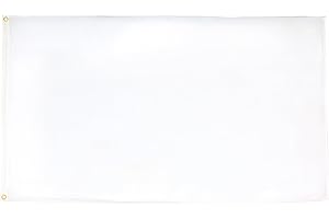 AZ FLAG 2x3 Ft Plain White Flag