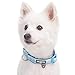 Blueberry Pet Adjustable Dog Collar, Soft & Safe, 3M Reflective, Neoprene Padded, Blue Pastel, Dog Collars for Medium Dogs, Small Dog Collar, Eco-Friendly, Perfect for Pet Lovers & Owners