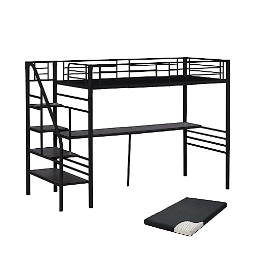 Chic ZONE tgxbh pCvxbh Kit fXNt RZgt VO (ubNxbh{}bgX)