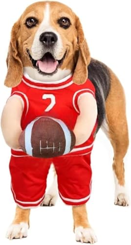 BLINGOOD ̃RX`[AϑA^ƒ^p̃oXPbg{[RX`[AnEBA񑫕sA[vCRX`[AhAg (bhio[2,TCY)