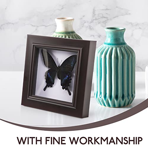 Housoutil Butterfly Shadow Box, Butterfly Specimens in Shadow Box - Image 4