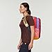 Cotopaxi Batac 16l Backpack Del Dia - One Of A Kind! No Bags Are The Same!