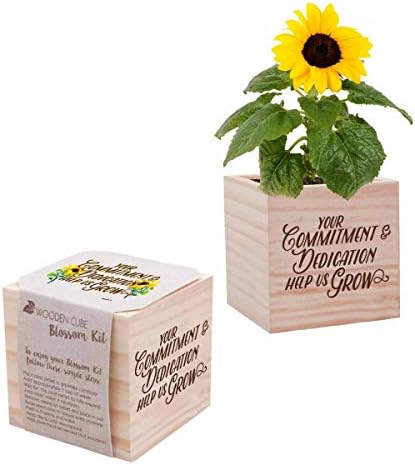 Desk Accessory for The Office - Yellow Sunflower Plant Seed Packet, Peat Pellet, and Natural Pine Wooden 3x3 inch Cube Planter - Employee Appreciation Gift -"Your Commitment"