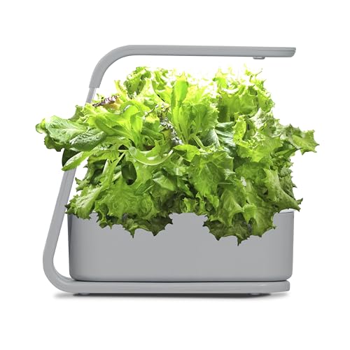 Image of AeroGarden Sprout, Cool Gray