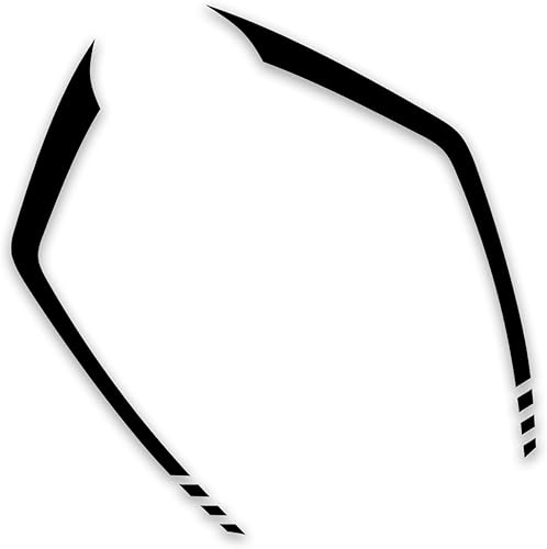 iTobest Calcomanía de motocicleta para Ducati Panigale V4 V4S 2020-2021 (negro)