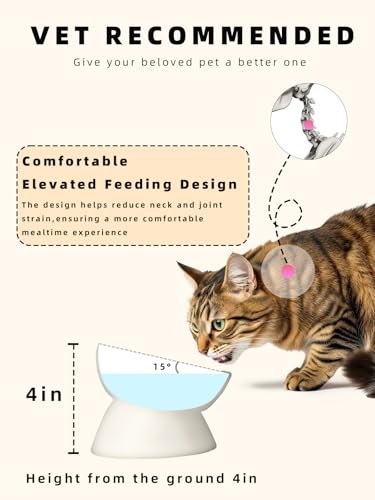 Elevated Ceramic Cat Food Bowl, 15° Tilted Raised Cat Food Bowl, Stress Free Elevated Food Bowls for Flat Faced Cats, Small Dogs, Protect Pet's Spine, 5 oz (Vintage White) - Image 4