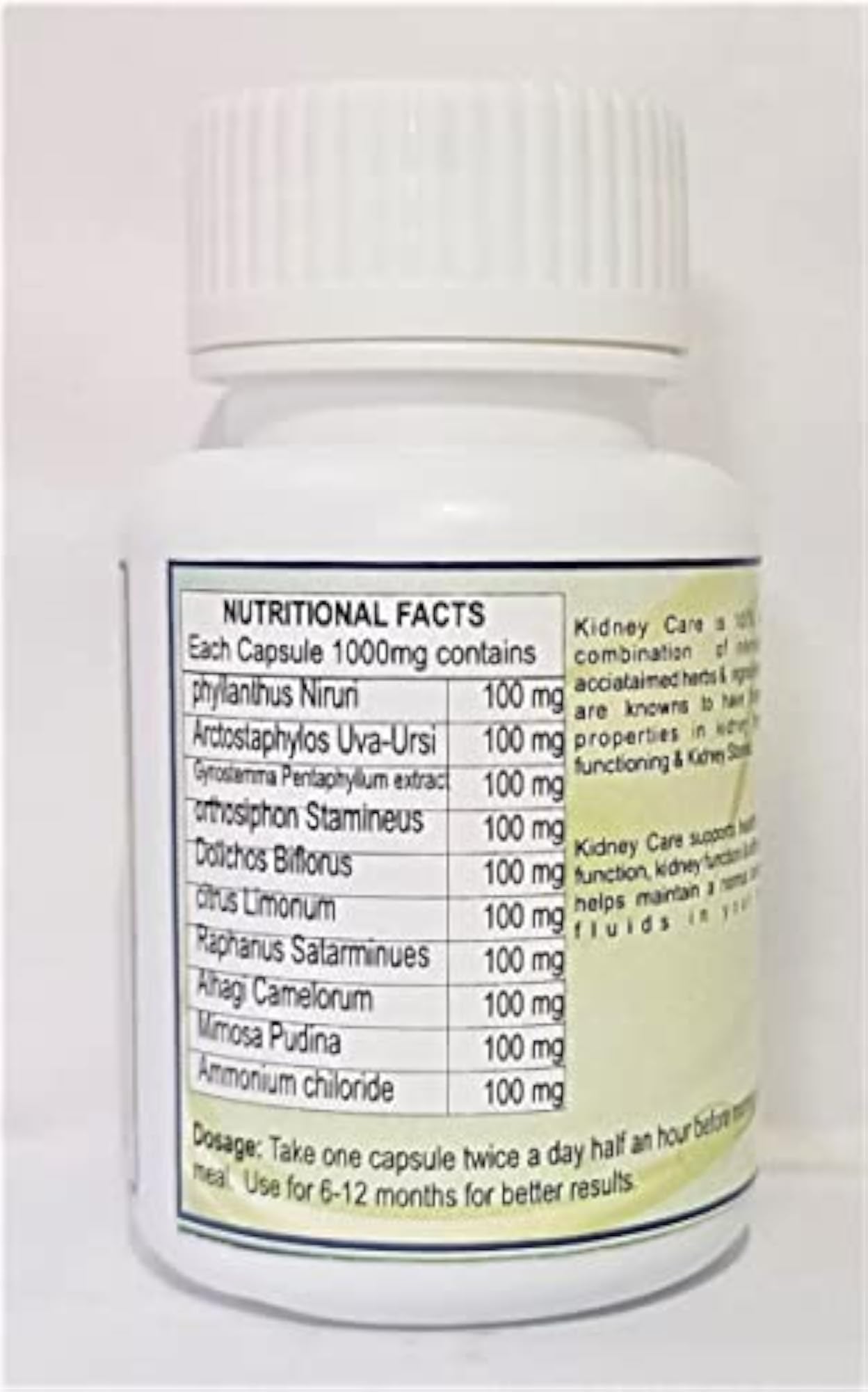 Kidney Care Capsules, Natural Health Supplement