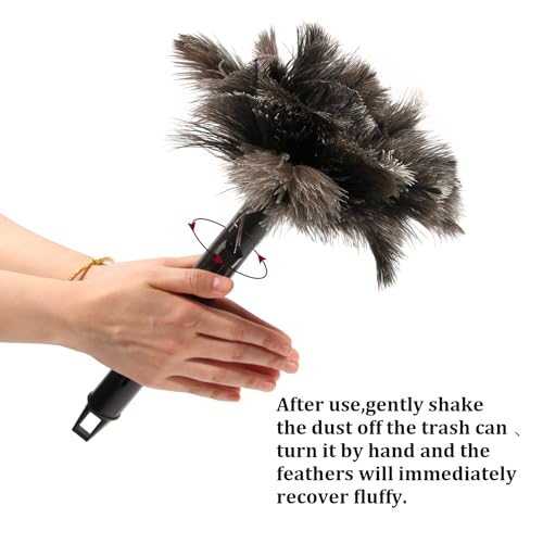 Image of Retractable Ostrich Feather Duster for Cleaning, 15 Inch Fluffy and Natural Feather Duster with Retractable Handle, Reusable Eco-Friendly Handheld Cleaning Supplies (10 pcs)