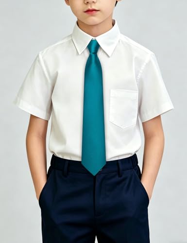 Image of Hi-Tie Pretied Boys Ties Solid Color Kids Adjustable Necktie Lapel Pin Clip Set Age 8-12 Wedding School Graduation