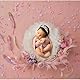 Xanewza 4 Stück Fotorequisiten für Neugeborene, Neugeborenen Foto Requisiten, Baby Fotografie Korb Bilder Kleinkind Posing Requisiten, 1 Foto Donut, 3 Posing Kissen (Fits 0-3 Monat)