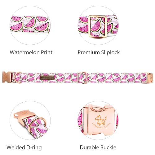 Collier pour chien XL imprimé pastèque coton durable - 3