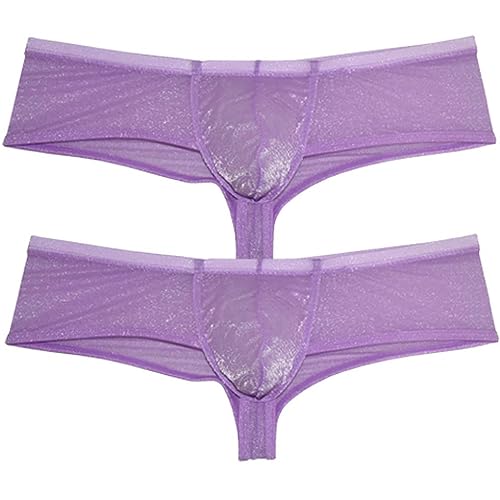 Men's Sheer Organdy Cheeky Boxers Thong Underwear Male U-briefs Gloss & C-thru Mesh Underpants Half Hip Coverage