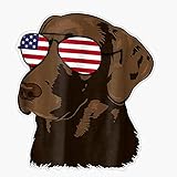 HOF Trading Funny Chocolate Lab American Flag Dog - 4Th of July Vinyl Sticker Waterproof Decal Laptop Wall Window Bumper Sticker 5'